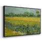 Field with Irises near Arles, 1888 - Floater Framed Canvas Print