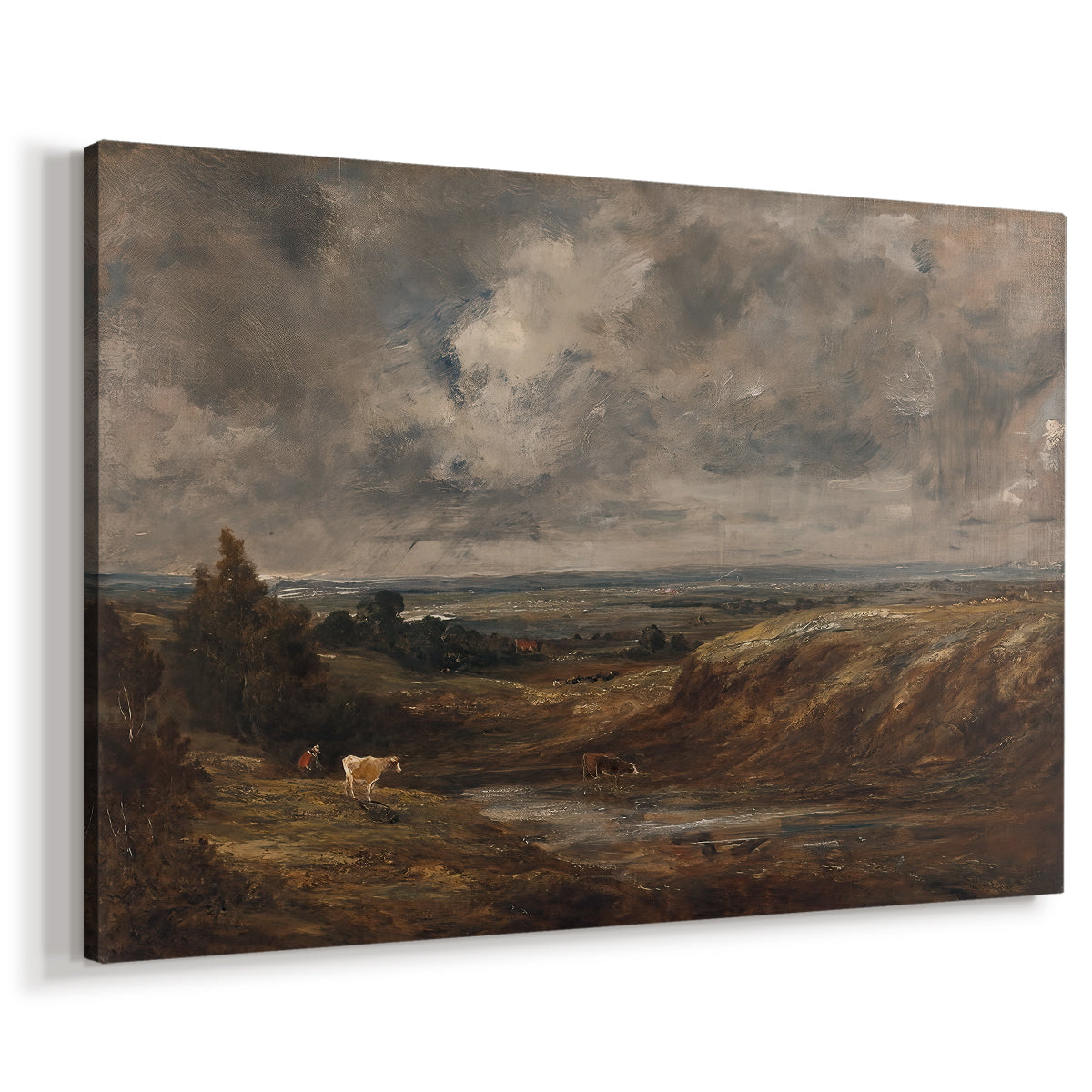 Canvas art print featuring a natural scene with wide terrain, displayed at an angle