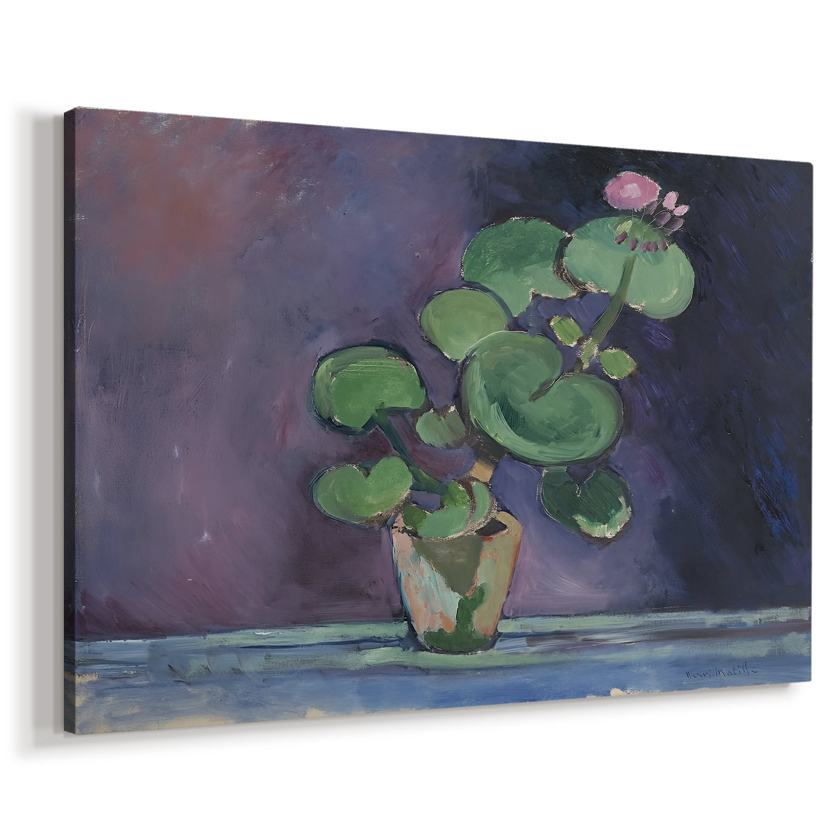 Canvas art print featuring a floral still life of a geranium plant in a pot, displayed at an angle