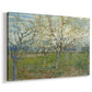 Canvas art print featuring an orchard in bloom with pink blossoms across soft landscape, displayed at an angle