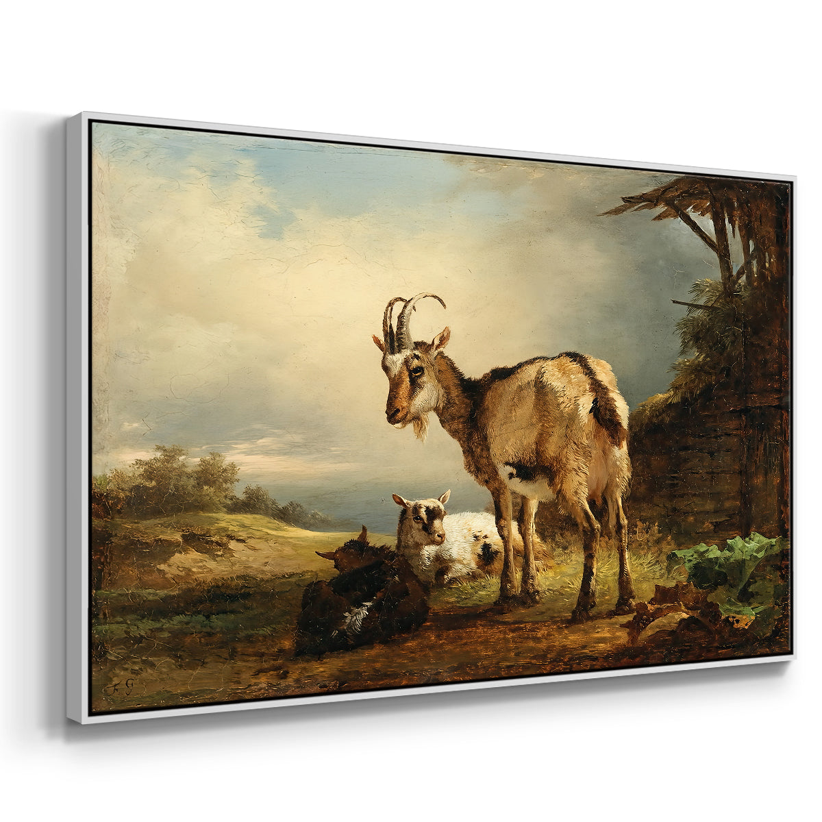 A Goat with Two Kids - Floater Framed Canvas Print