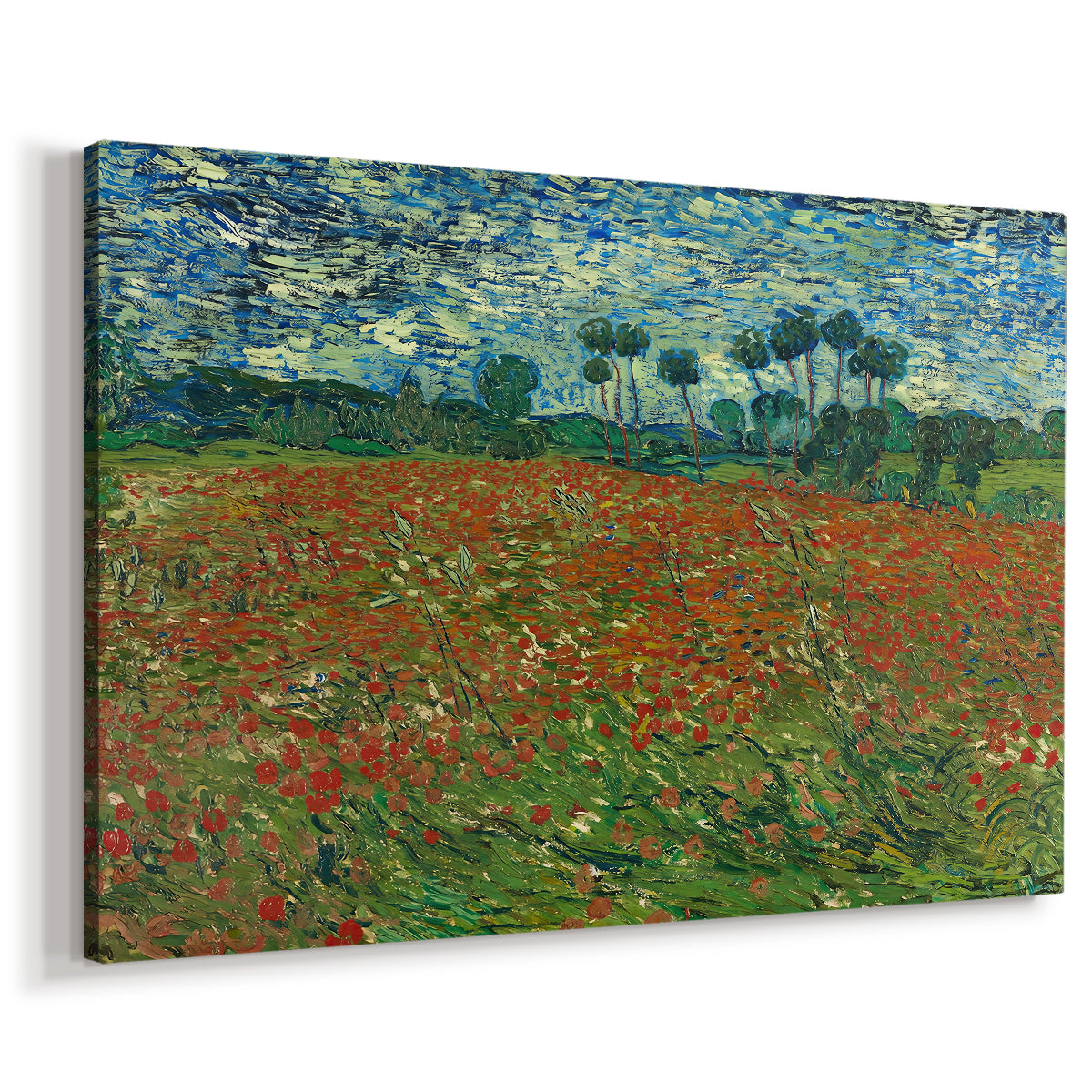 Canvas art print featuring a countryside scene with scattered flowers across grass, displayed at an angle