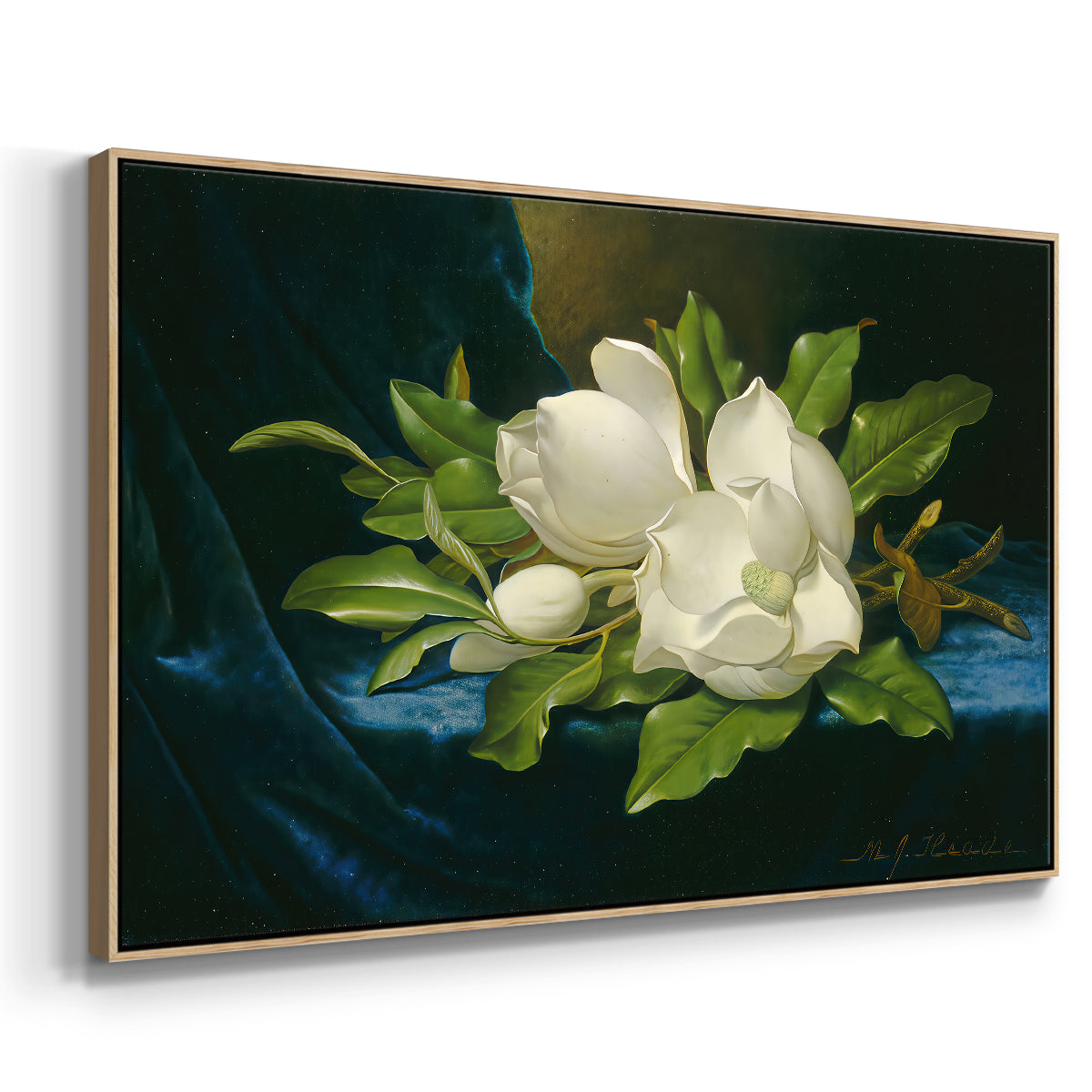 Giant Magnolias on a Blue Velvet Cloth, c. 1890 - Floater Framed Canvas Print