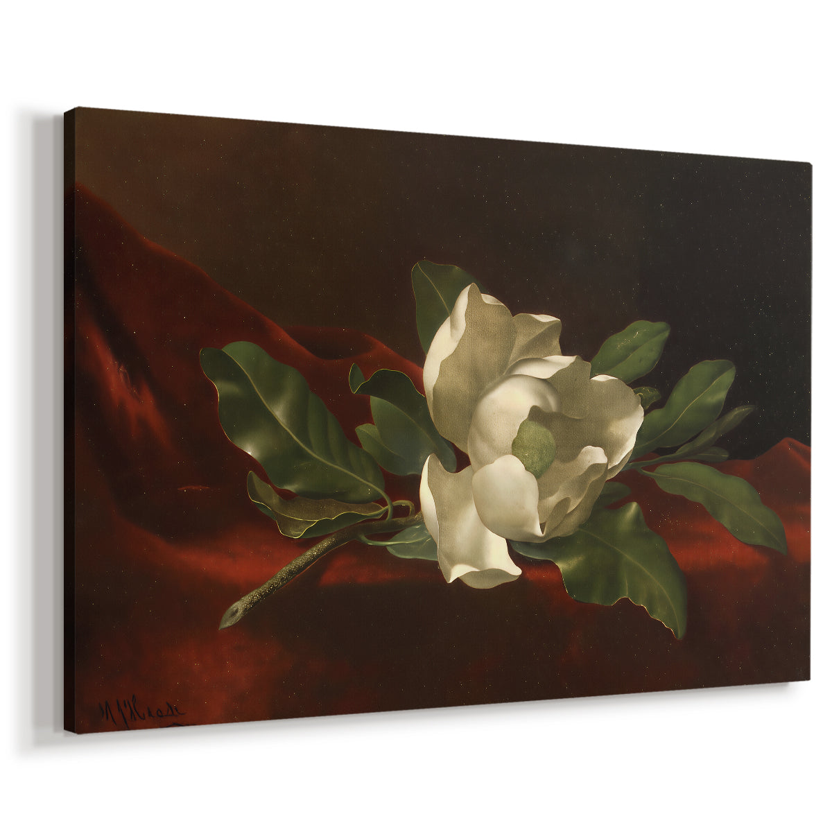 Canvas art print featuring a floral still life with single flower and soft lighting, displayed at an angle