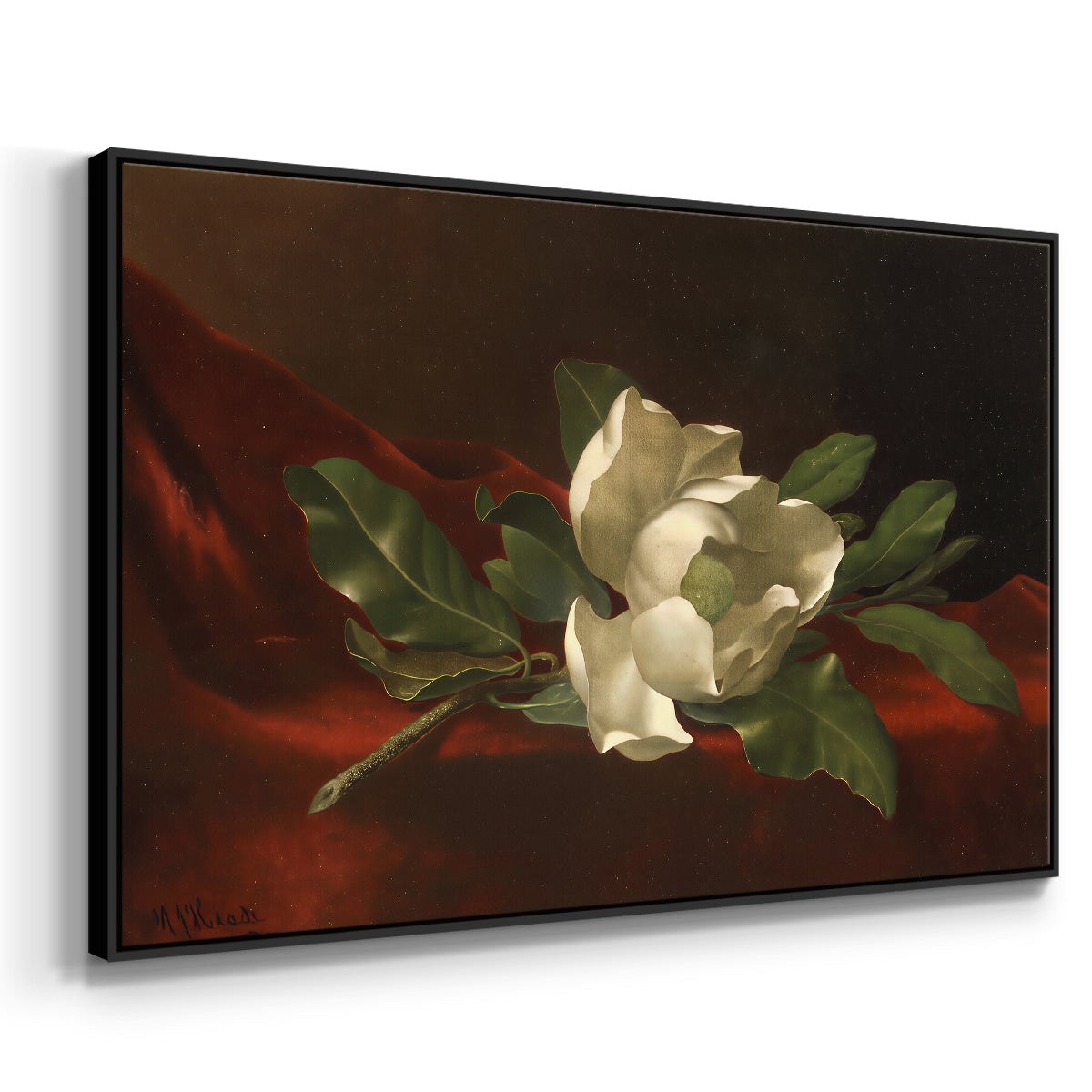Magnolia on Red Velvet, c. 1885-1890 - Floater Framed Canvas Print