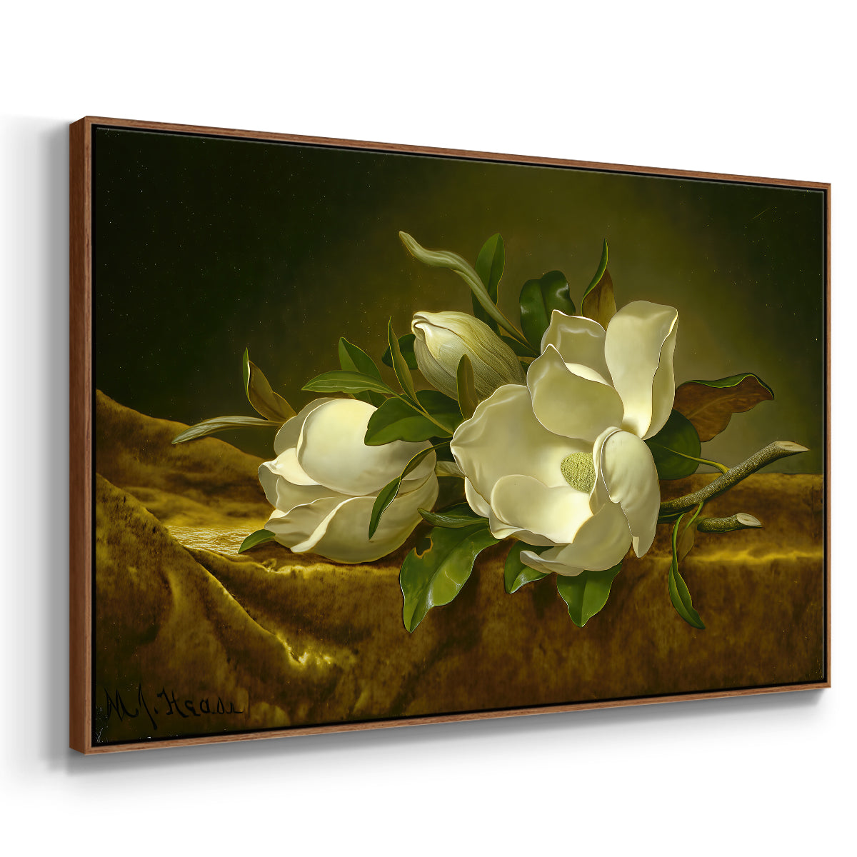 Magnolias on Gold Velvet Cloth, c. 1888-1890 - Floater Framed Canvas Print