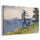 Canvas art print featuring a woodland landscape with open space among trees, displayed at an angle