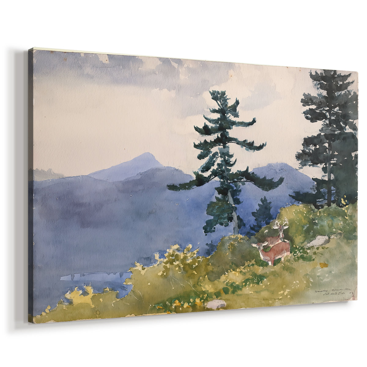 Canvas art print featuring a woodland landscape with open space among trees, displayed at an angle