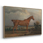 Hunter in a Landscape, 1810 - Floater Framed Canvas Print