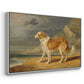 Rough-Coated Collie, 1809 - Floater Framed Canvas Print