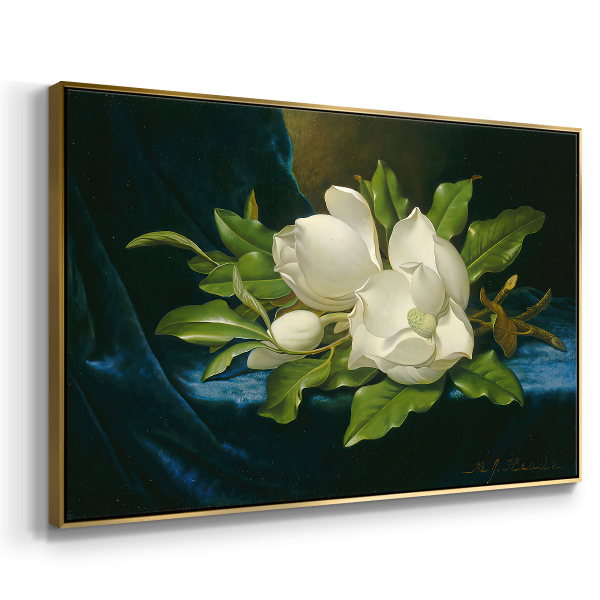 Giant Magnolias on a Blue Velvet Cloth, c. 1890 - Floater Framed Canvas Print