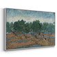 Olive Trees, 1889 - Floater Framed Canvas Print