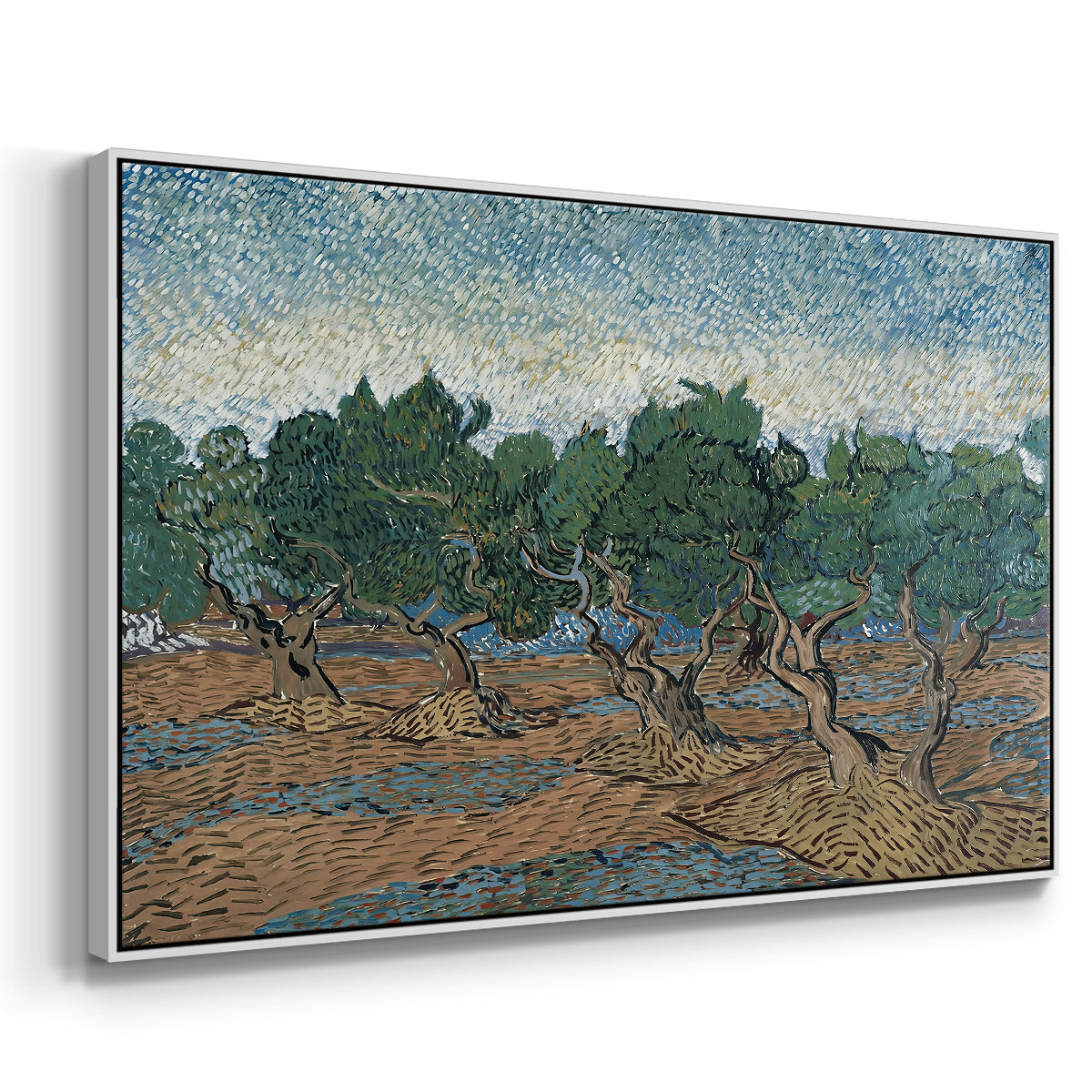 Olive Trees, 1889 - Floater Framed Canvas Print