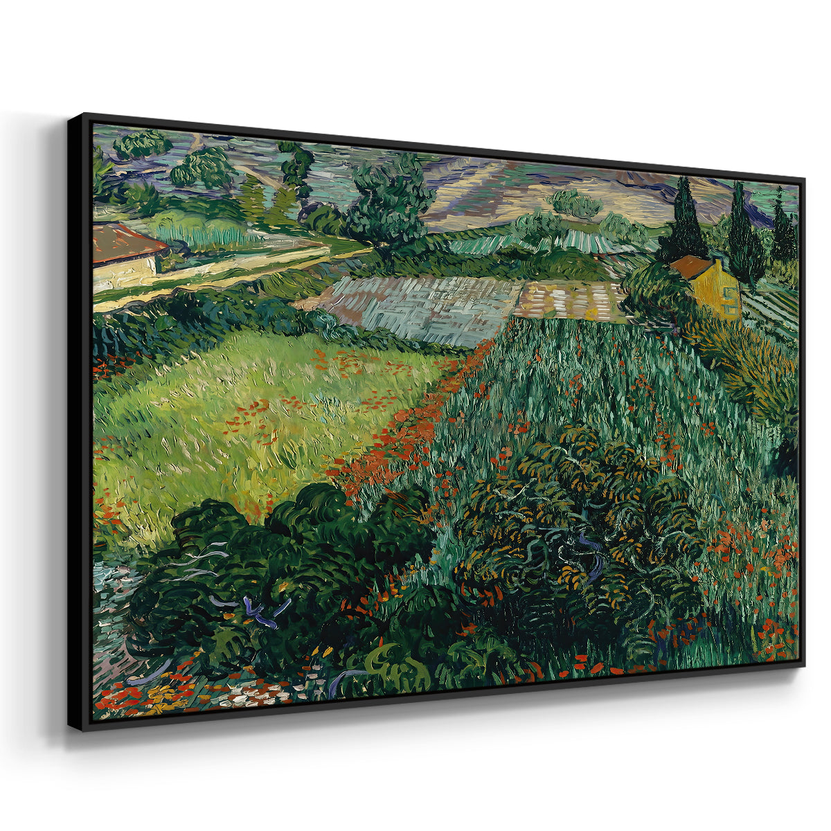 Field with Poppies, Saint-Rémy, 1889 - Floater Framed Canvas Print