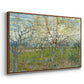 The Pink Orchard, 1888 - Floater Framed Canvas Print