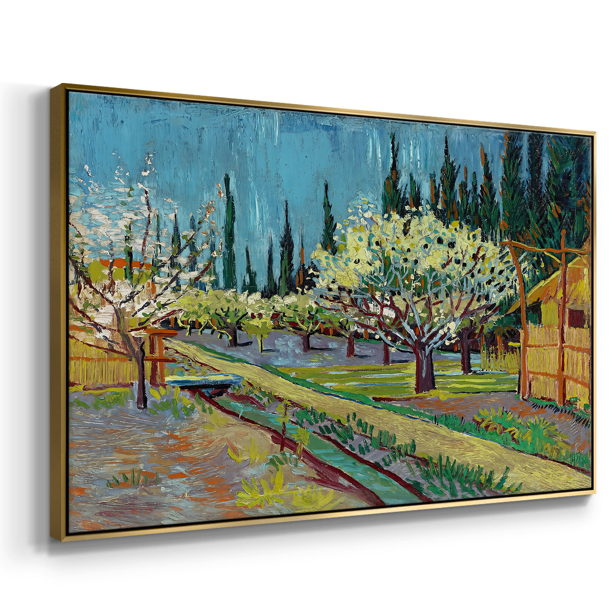 Orchard in Blossom, Bordered by Cypresses, 1888 - Floater Framed Canvas Print