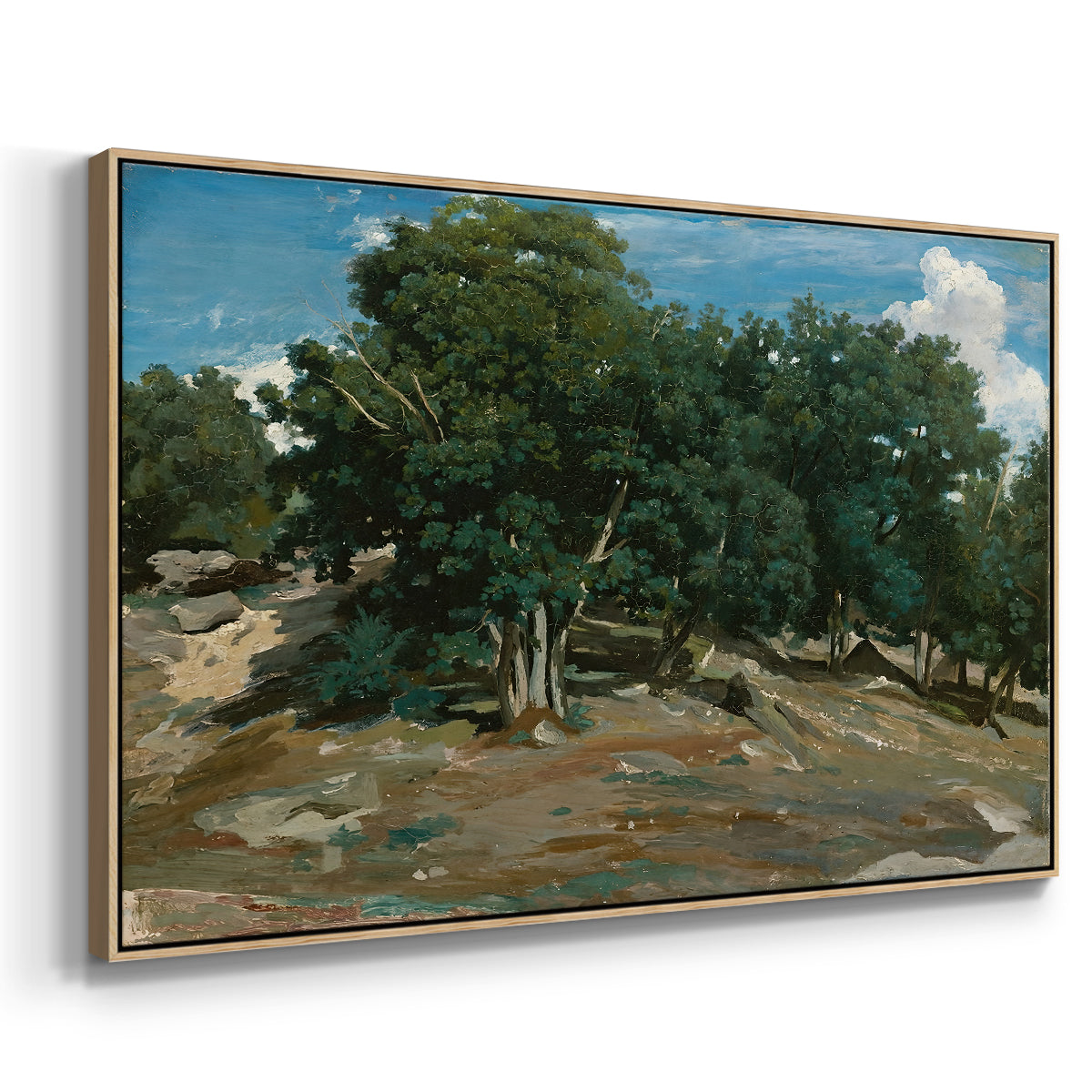 Fontainebleau: Oak Trees at Bas-Bréau, c. 1830-1835 - Floater Framed Canvas Print