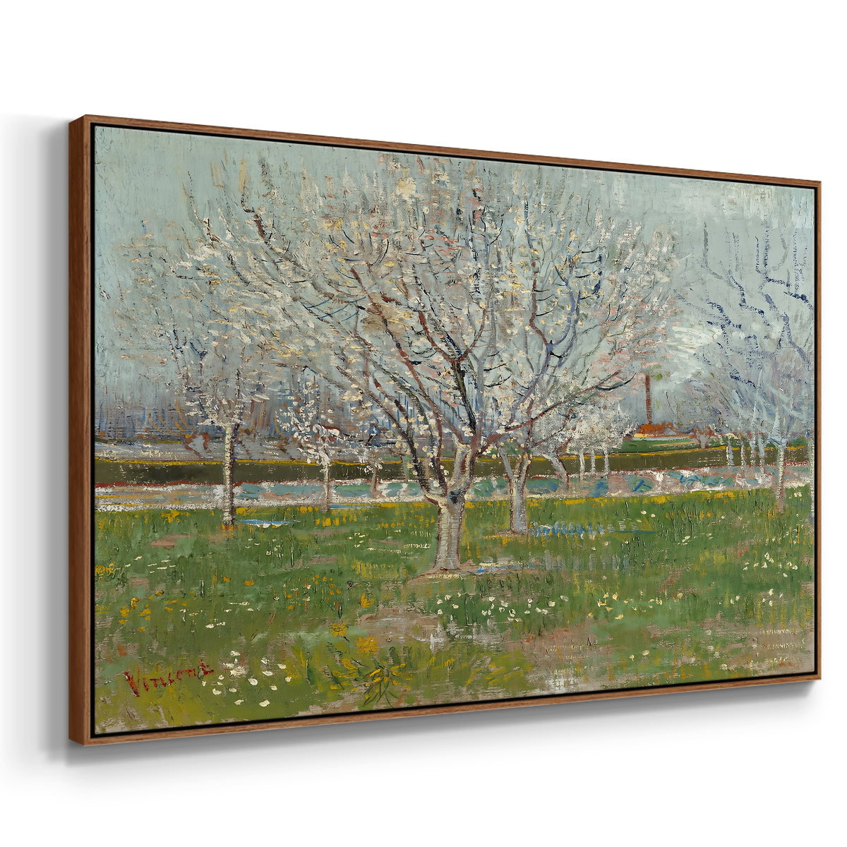Orchard in Blossom (Plum Trees), 1888 - Floater Framed Canvas Print