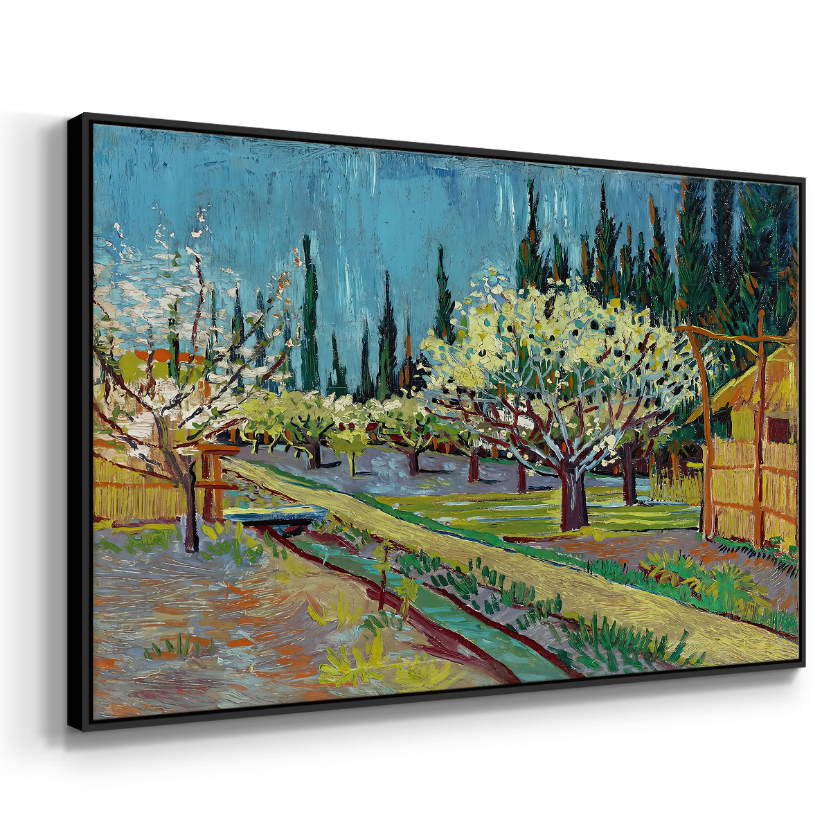 Orchard in Blossom, Bordered by Cypresses, 1888 - Floater Framed Canvas Print