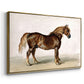 A Cart-Horse - Floater Framed Canvas Print