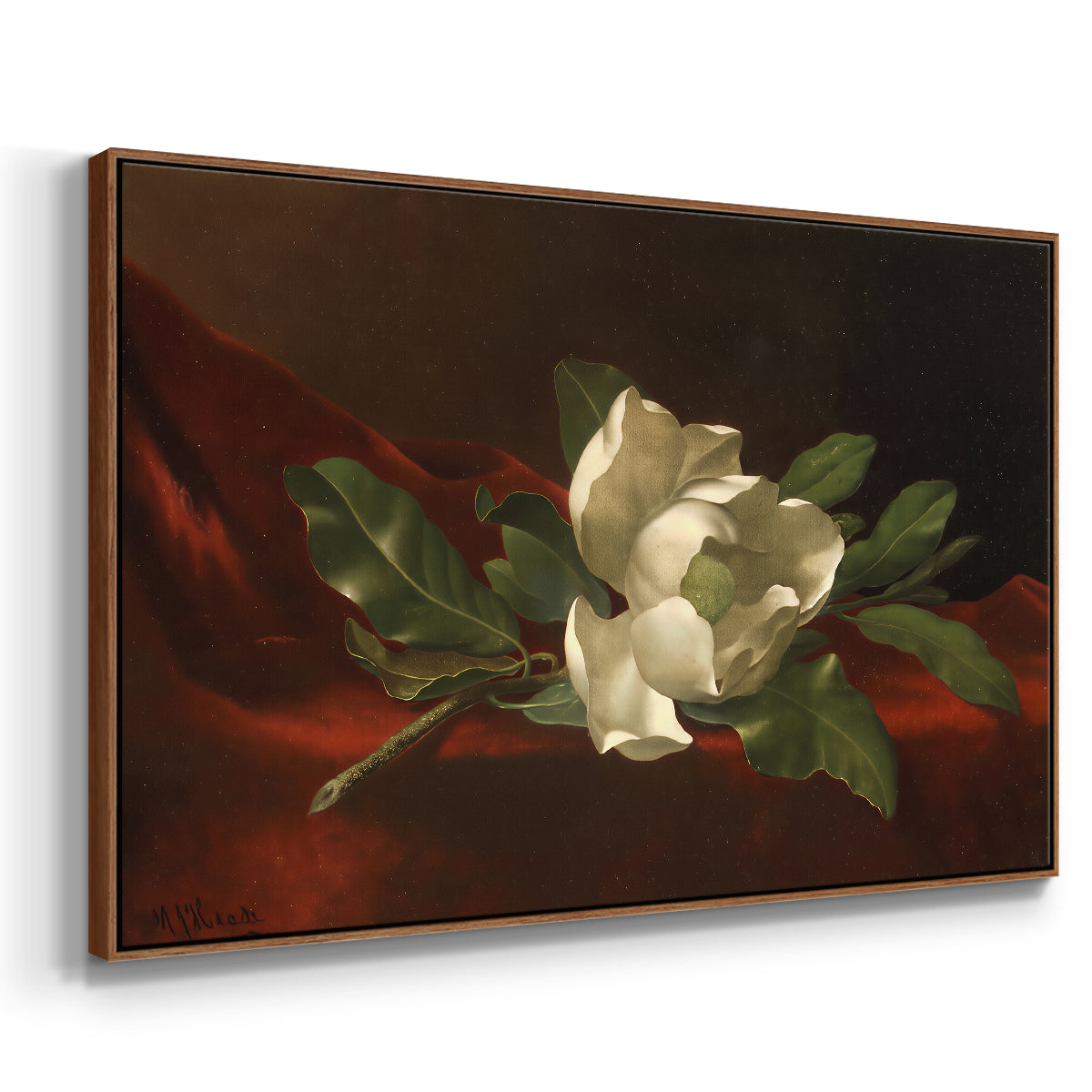 Magnolia on Red Velvet, c. 1885-1890 - Floater Framed Canvas Print
