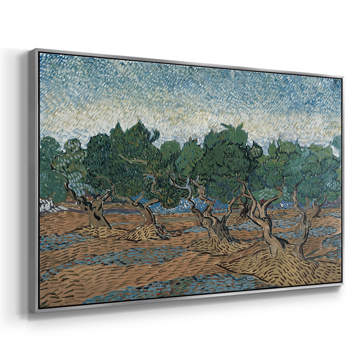 Olive Trees, 1889 - Floater Framed Canvas Print