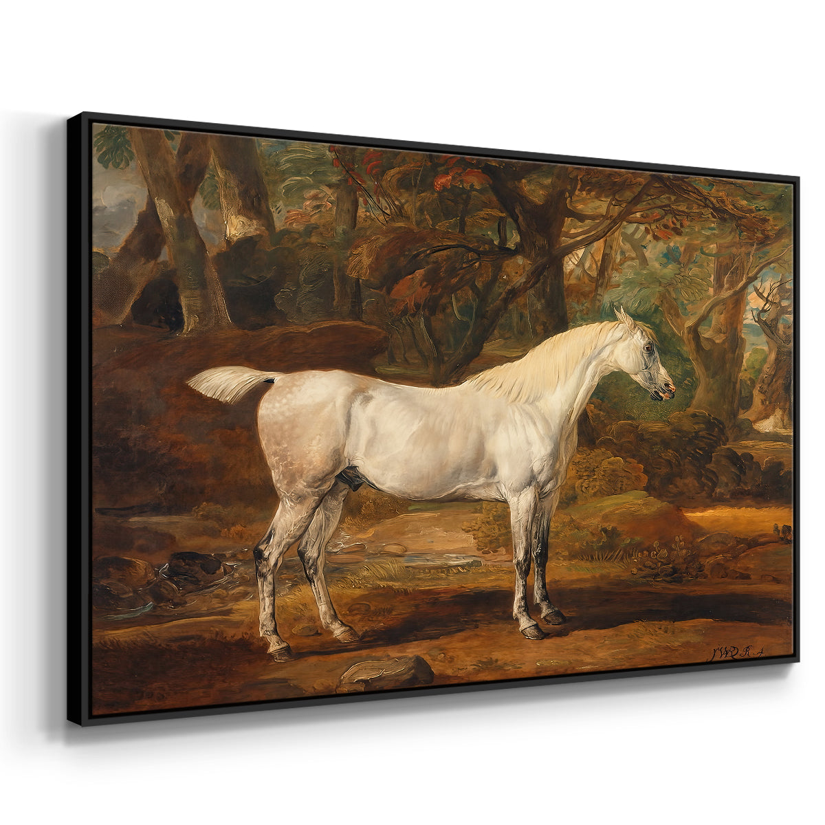 Grey Arabian Stallion, Property of Sir Watkin Williams-Wynn, c. 1817 - Floater Framed Canvas Print