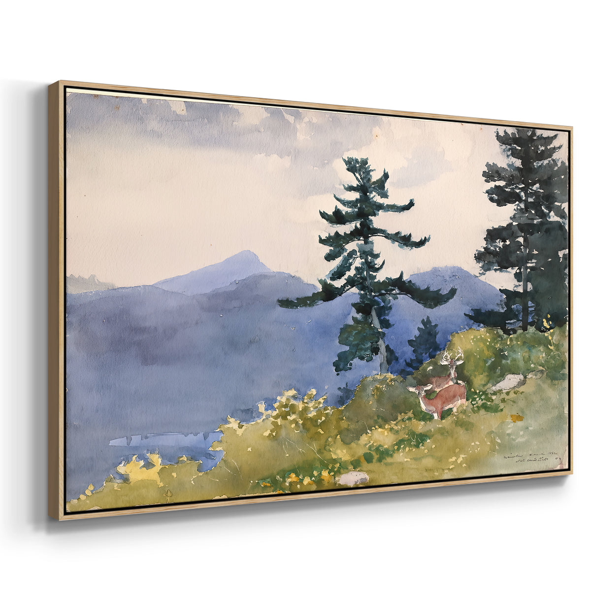 North Woods Club, Adirondacks, 1892 - Floater Framed Canvas Print