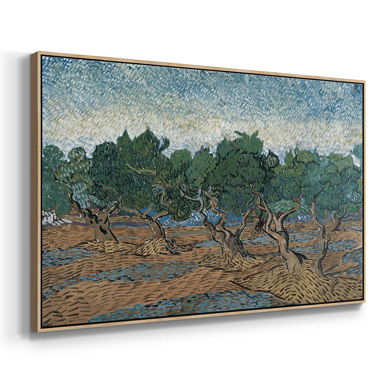 Olive Trees, 1889 - Floater Framed Canvas Print