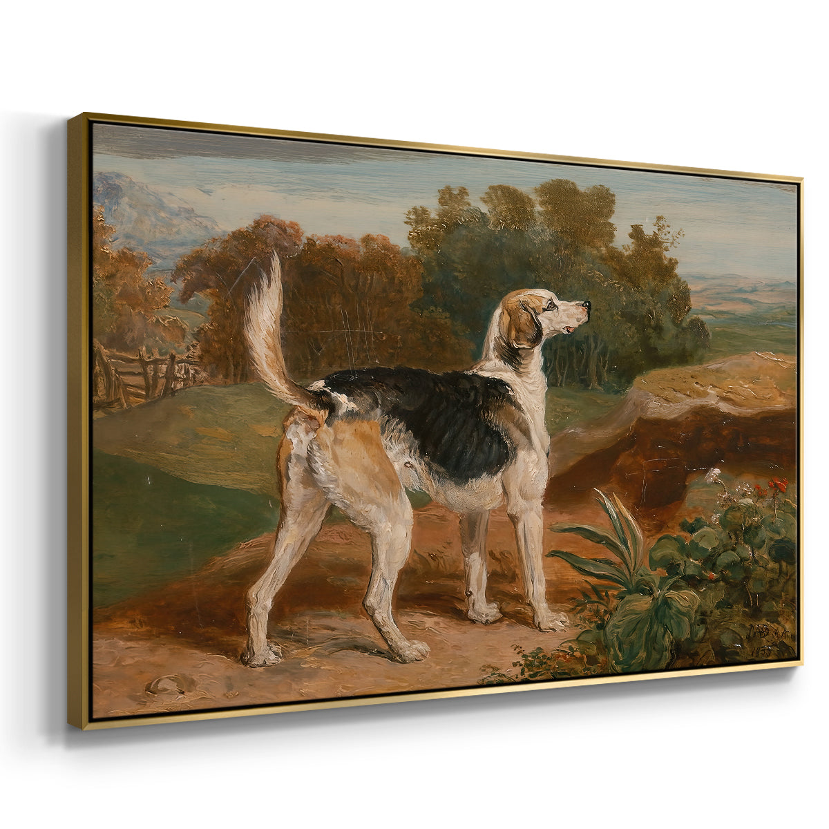 Ravager, One of the Lambton Hounds, 1835 - Floater Framed Canvas Print