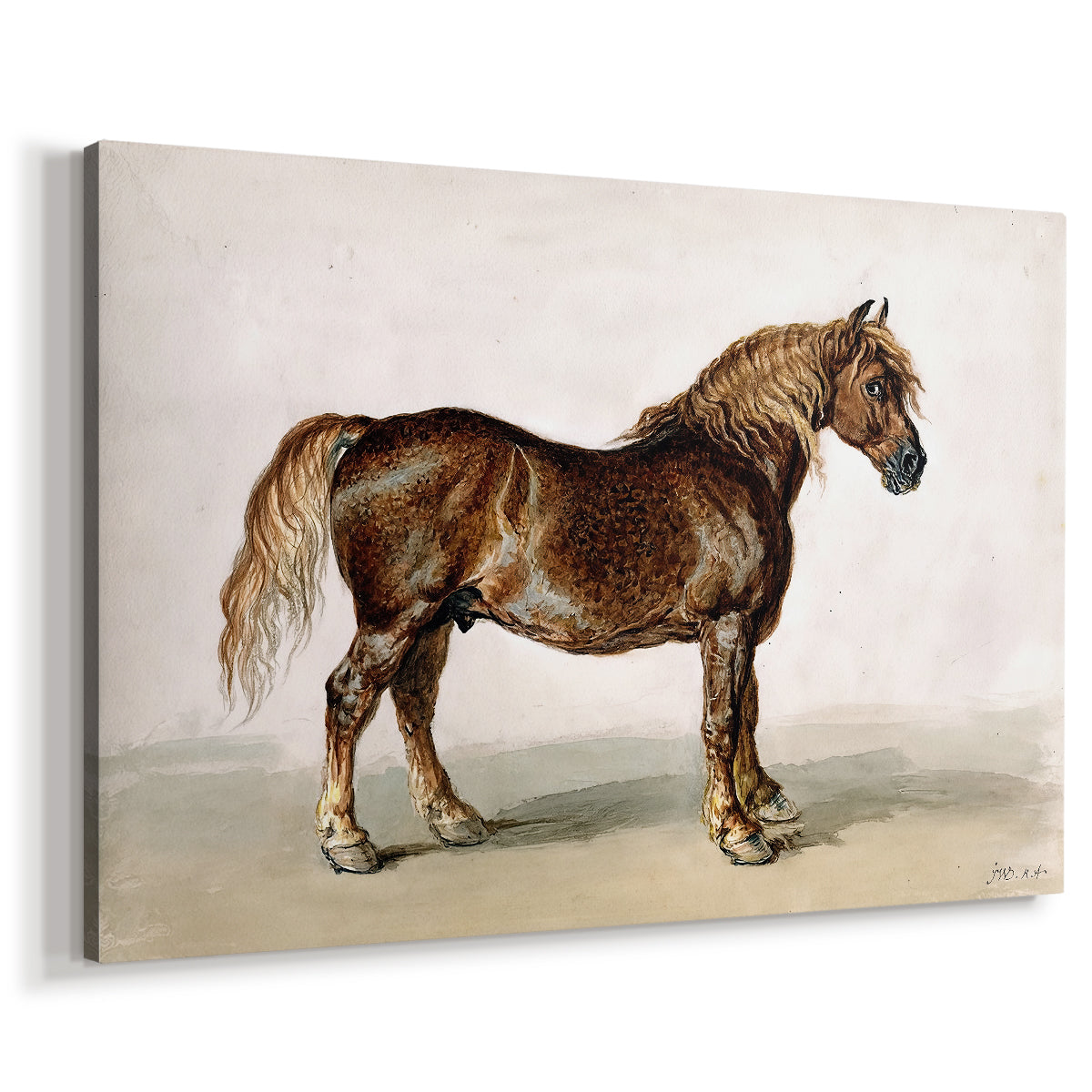 Canvas art print featuring a working horse depicted in simple composition, displayed at an angle