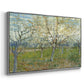 The Pink Orchard, 1888 - Floater Framed Canvas Print