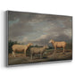 Ryelands Sheep, the King's Ram, the King's Ewe and Lord Somerville's Wether, c. 1801-1807 - Floater Framed Canvas Print