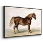 A Cart-Horse - Floater Framed Canvas Print