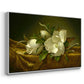 Magnolias on Gold Velvet Cloth, c. 1888-1890 - Floater Framed Canvas Print