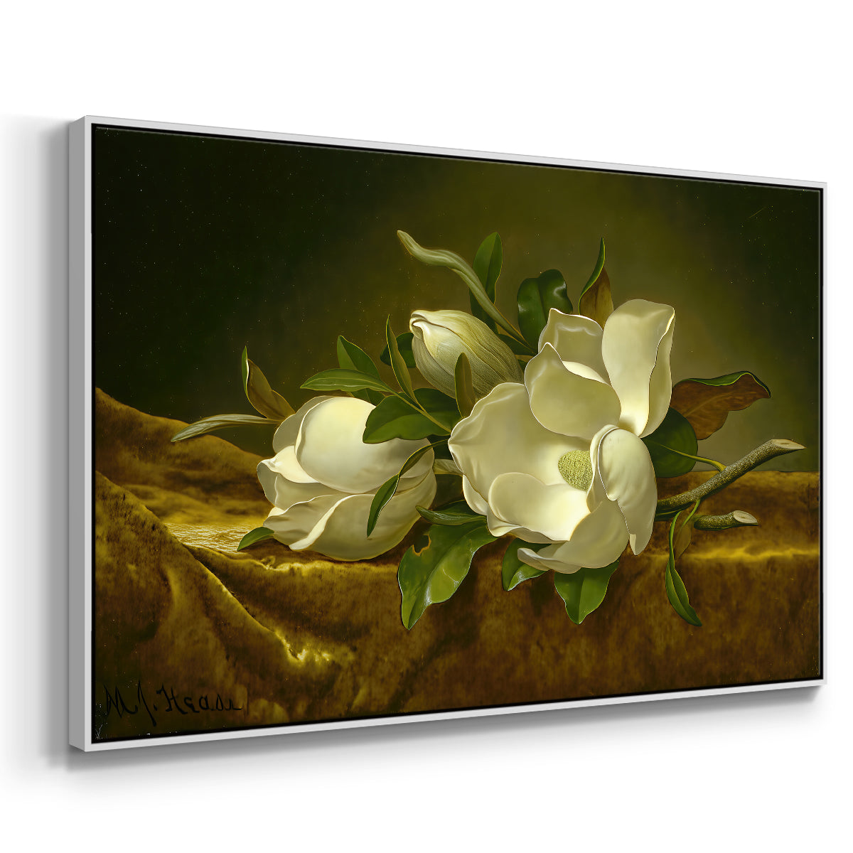 Magnolias on Gold Velvet Cloth, c. 1888-1890 - Floater Framed Canvas Print