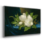 Giant Magnolias on a Blue Velvet Cloth, c. 1890 - Floater Framed Canvas Print