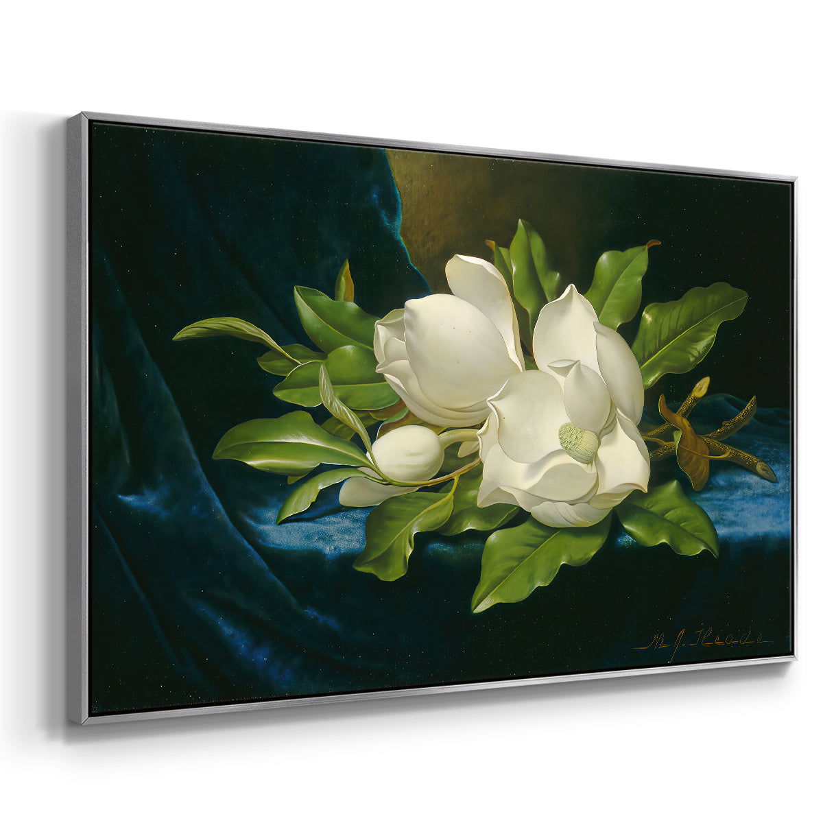 Giant Magnolias on a Blue Velvet Cloth, c. 1890 - Floater Framed Canvas Print