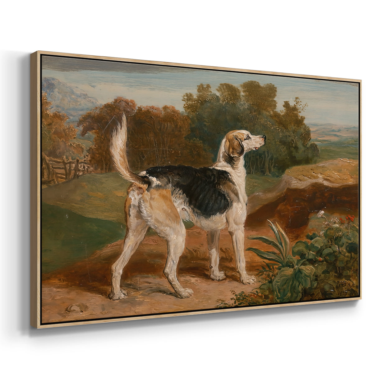 Ravager, One of the Lambton Hounds, 1835 - Floater Framed Canvas Print