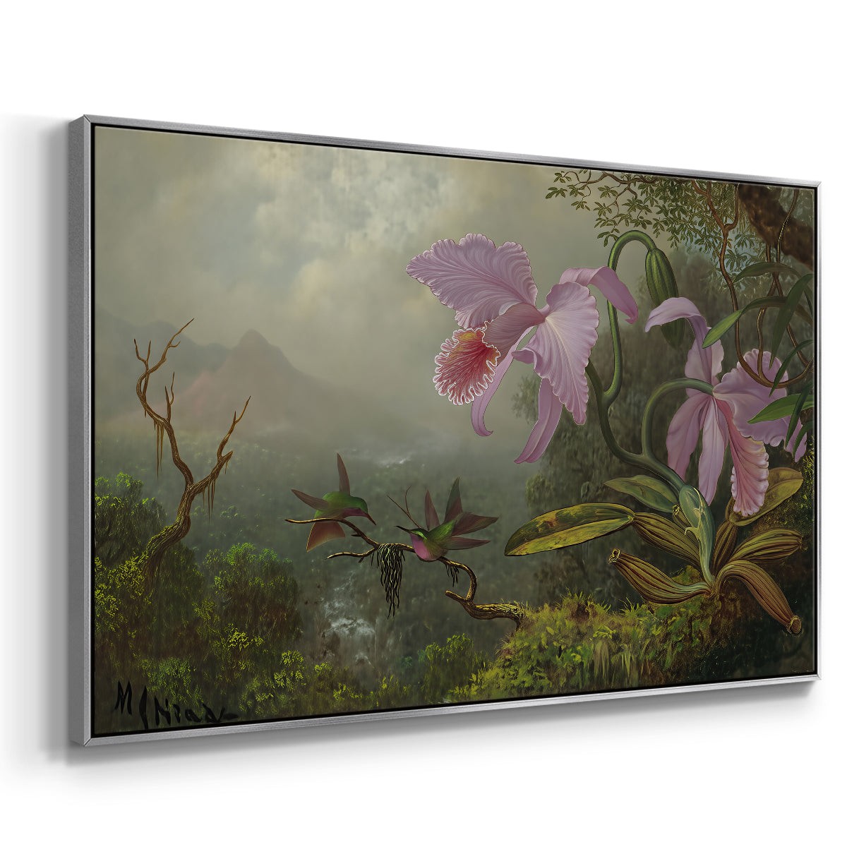 Two Sun Angel Hummingbirds on a Branch, c. 1890-1904 - Floater Framed Canvas Print