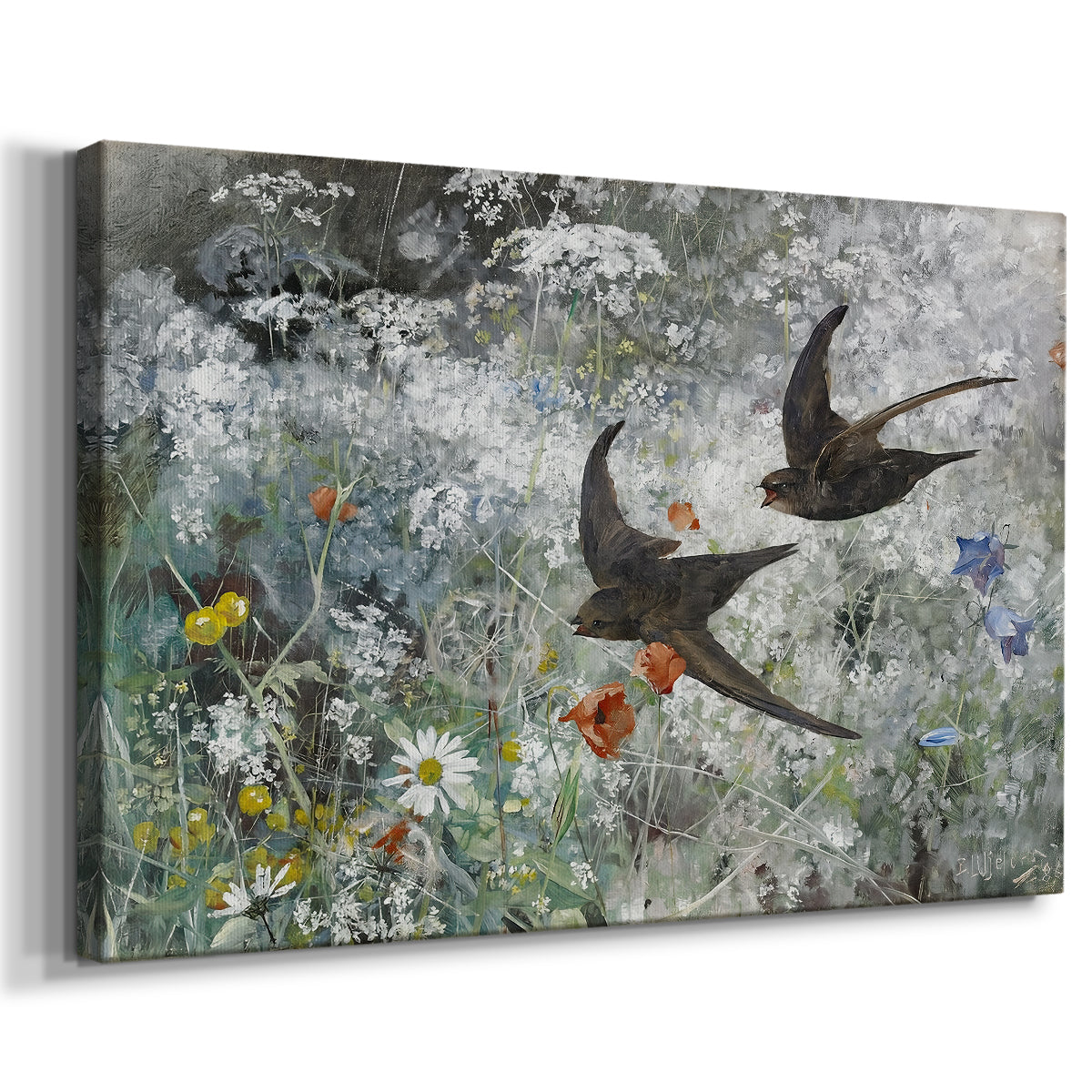 Canvas art print featuring swifts gliding midair with wings spread against soft sky, displayed at an angle