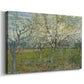 Canvas art print featuring an orchard in bloom with pink blossoms across soft landscape, displayed at an angle