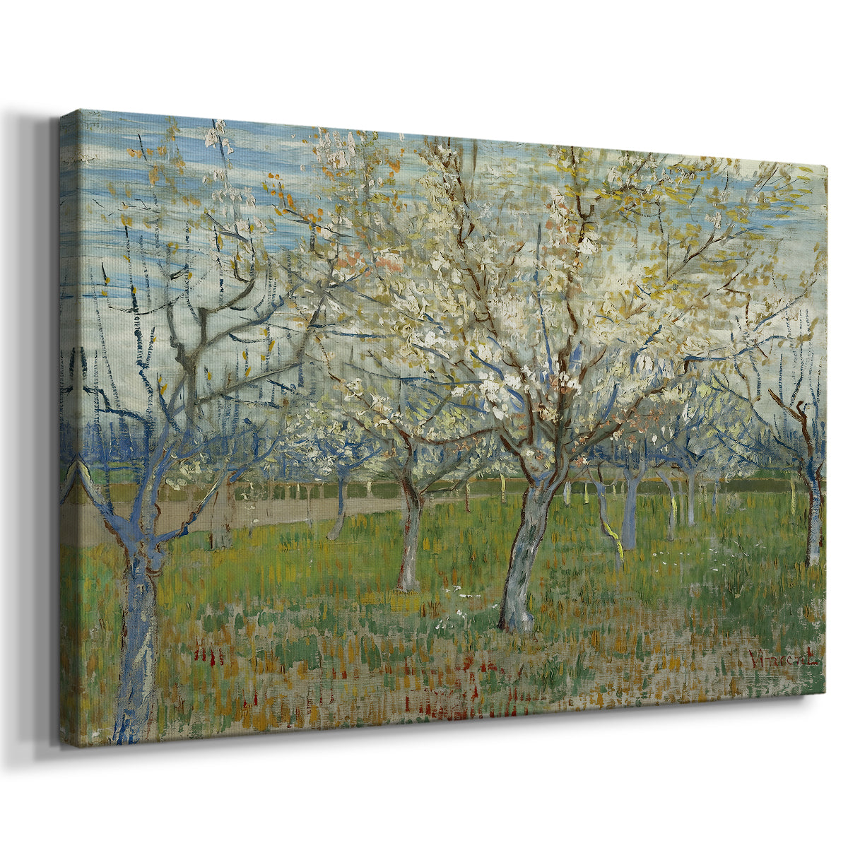 Canvas art print featuring an orchard in bloom with pink blossoms across soft landscape, displayed at an angle