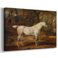 Canvas art print featuring a detailed horse portrait emphasizing form and musculature, displayed at an angle