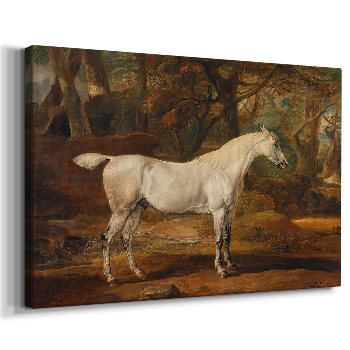 Canvas art print featuring a detailed horse portrait emphasizing form and musculature, displayed at an angle