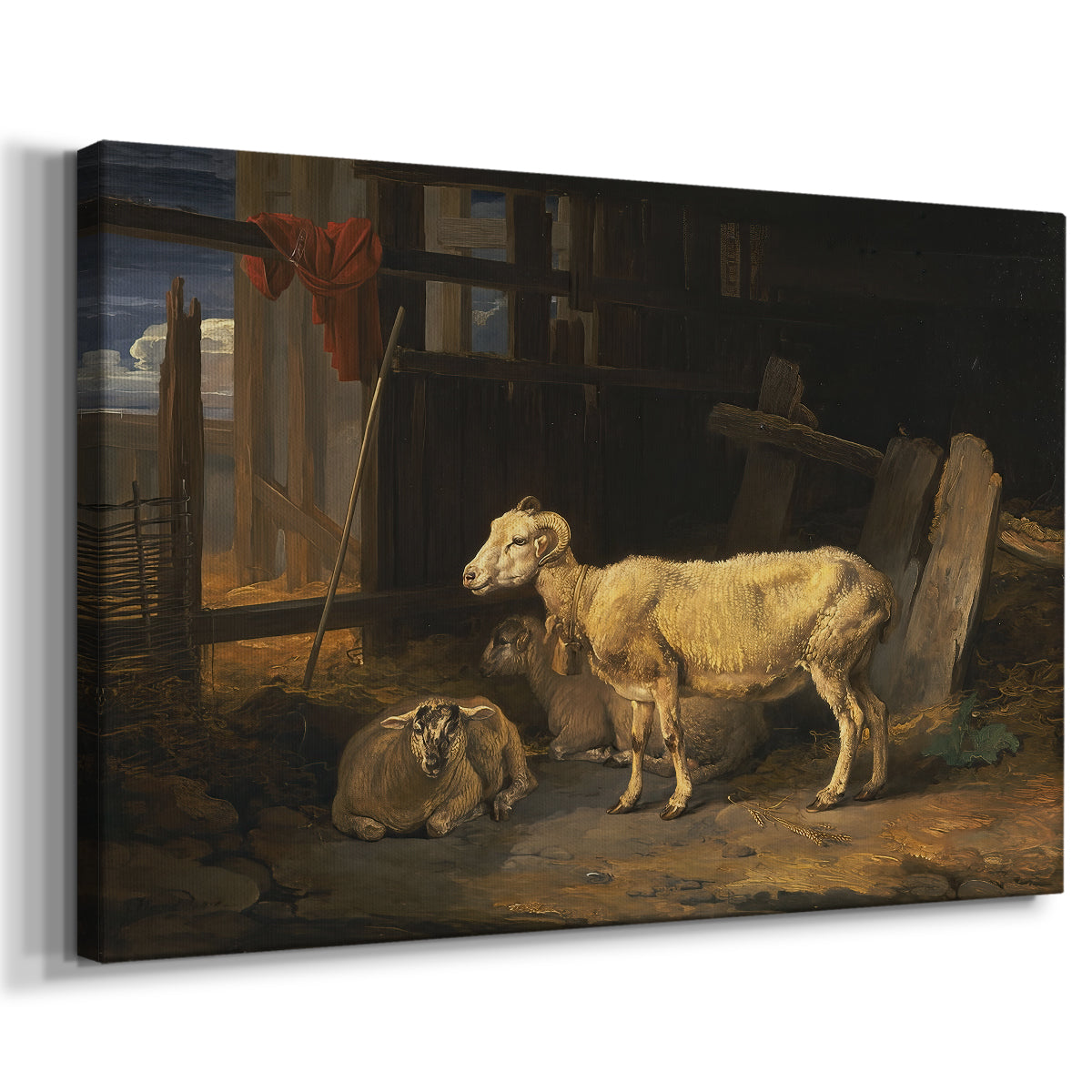 Canvas art print featuring a farm animals resting within enclosed rustic structure, displayed at an angle