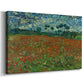 Canvas art print featuring a countryside scene with scattered flowers across grass, displayed at an angle