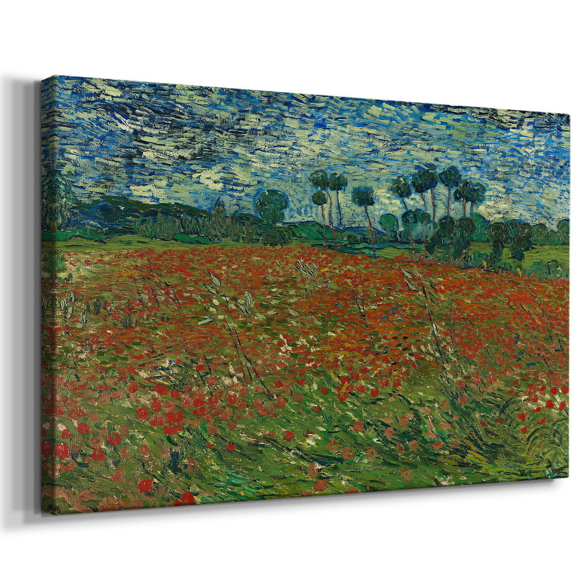 Canvas art print featuring a countryside scene with scattered flowers across grass, displayed at an angle