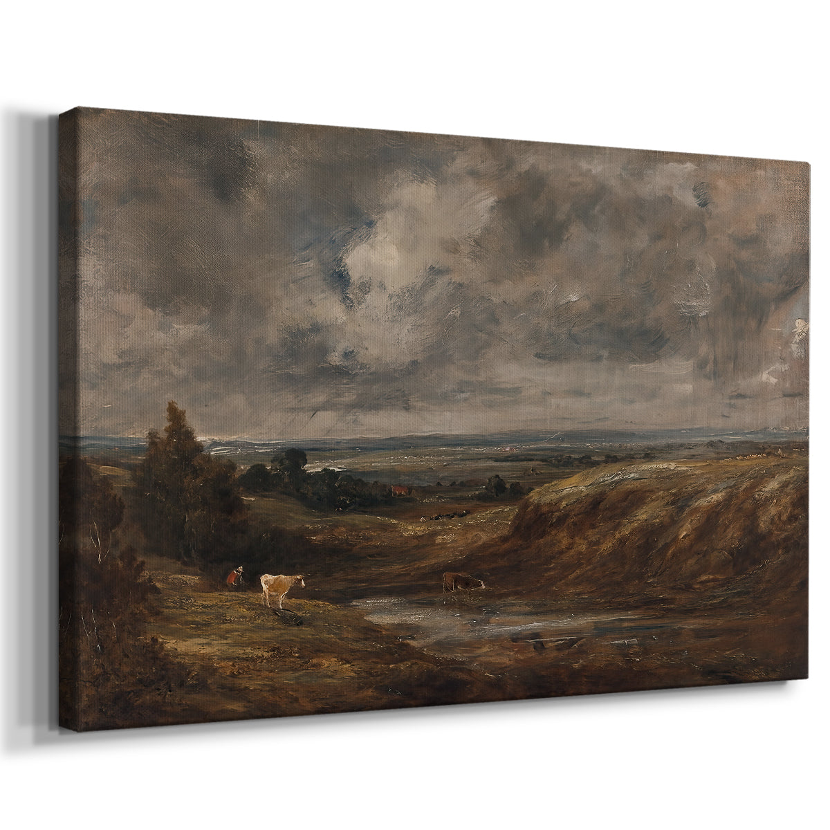 Canvas art print featuring a natural scene with wide terrain, displayed at an angle