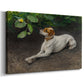 Canvas art print featuring a realistic portrait of a resting dog with attentive expression, displayed at an angle